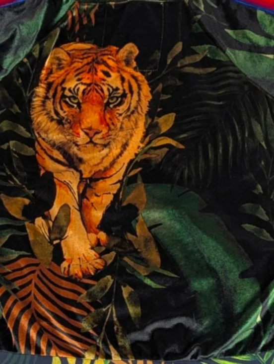 Aviator Nation Tiger Jungle Velvet Track Suit Rainbow Stripe Top XL Pant L F390 - Picture 13 of 14